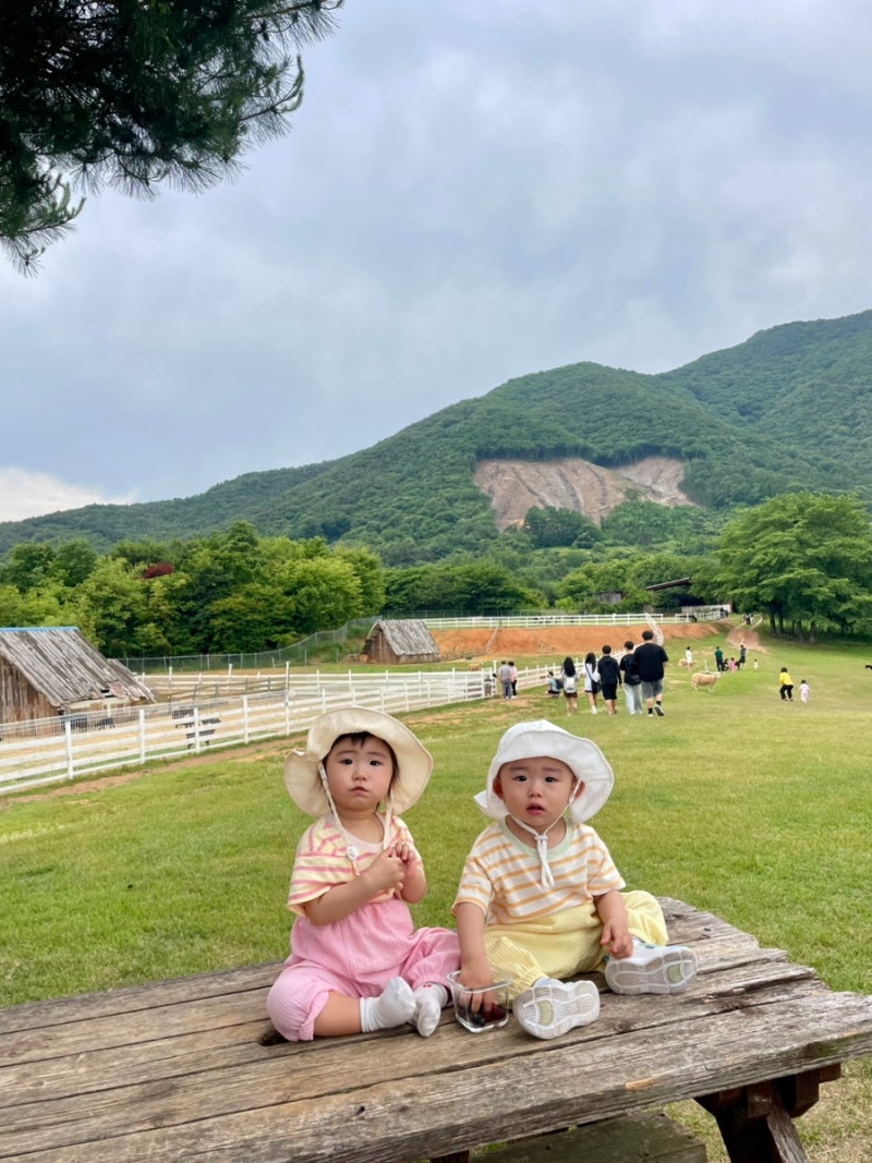 13개월 아기랑 하동 옥종 해뜰목장이랑 근처 맛집 옥종명가 다녀왔어요