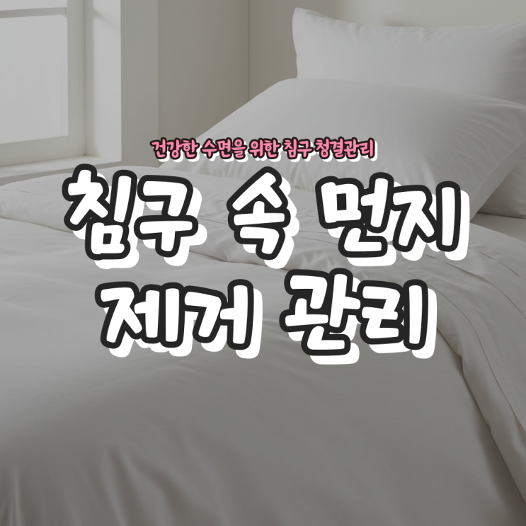 침구 먼지 제거법 관리법 - 건강한 수면을 위한 침구 청결관리 가이드