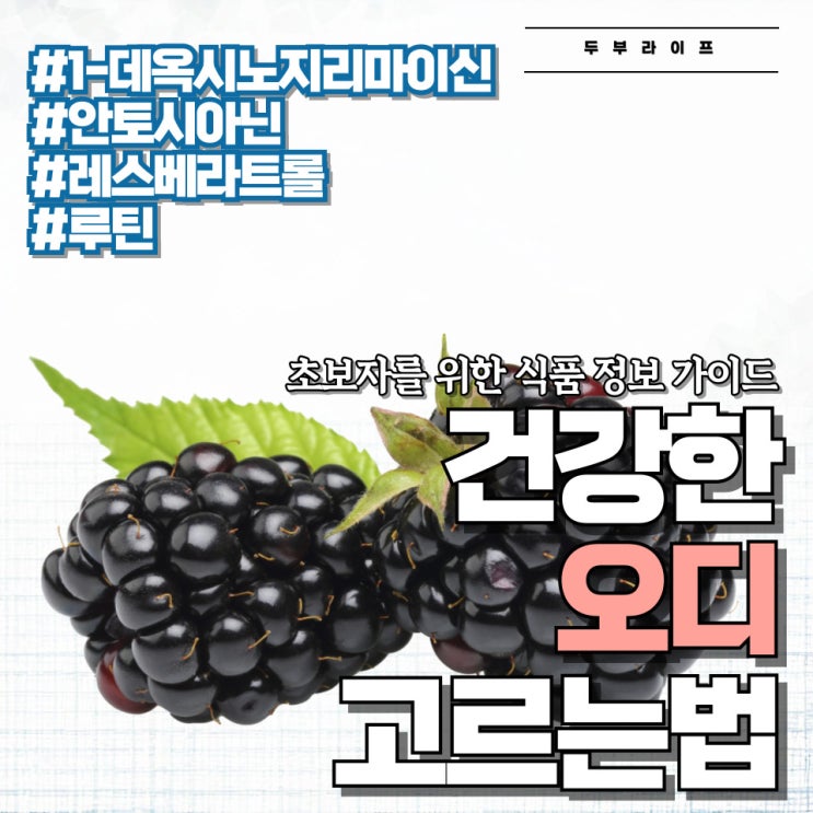  건강한 오디 고르는 법 #효능 #장단점 #섭취량 #보관법