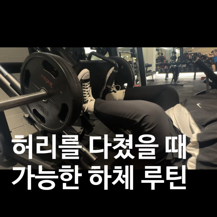  덕이동 헬스장 허리 다쳤을 때도 가능한 하체 운동 루틴