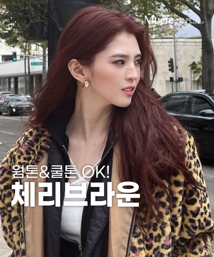  도산공원 미용실이 제안하는 체리브라운 염색의 매력