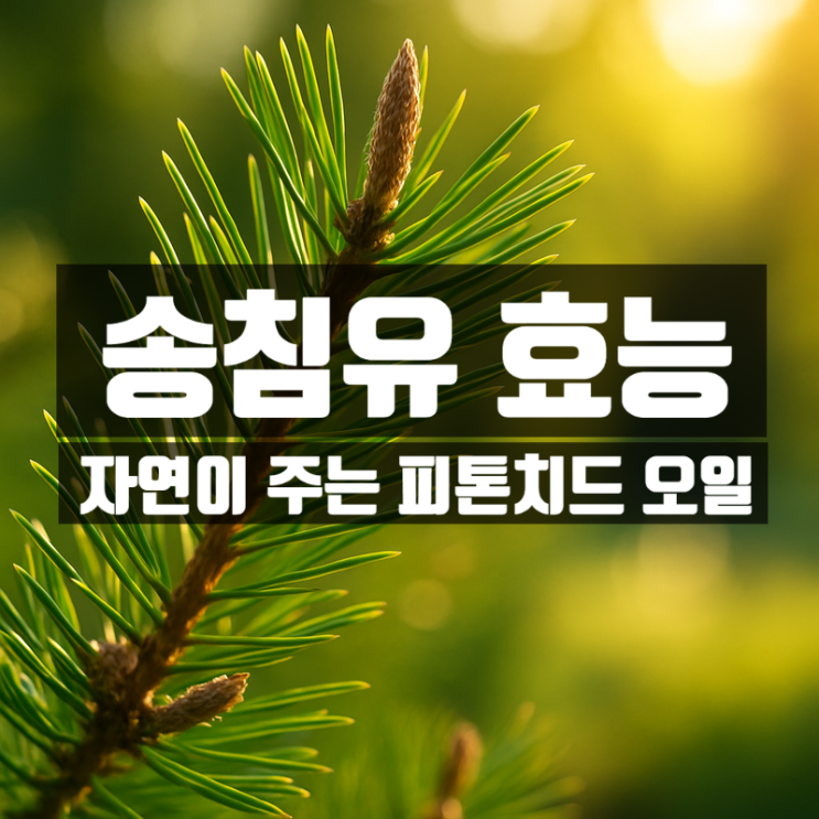  송침유 효능 성분 부작용 총정리 – 소나무오일의 비밀