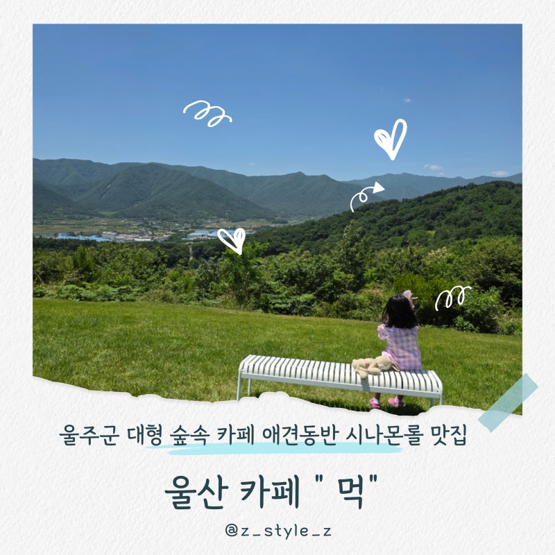 사진 5
