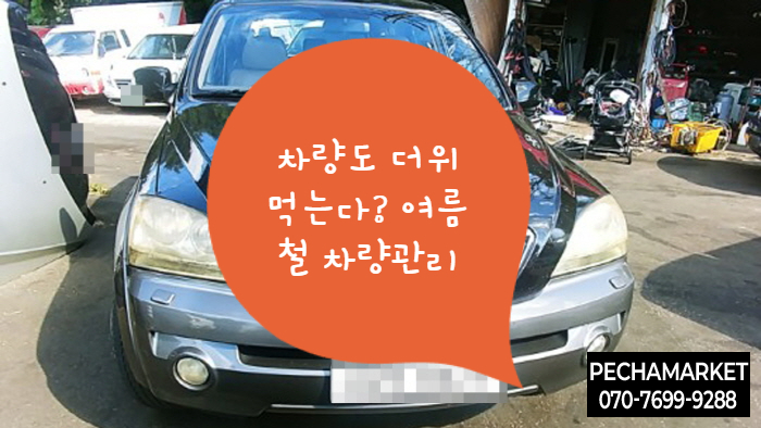  차량도 더위 먹는다? 여름철 차량관리