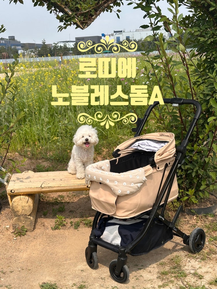  [페오펫몰추천템] 강아지유모차 로띠에 노블레스돔A 내돈내산
