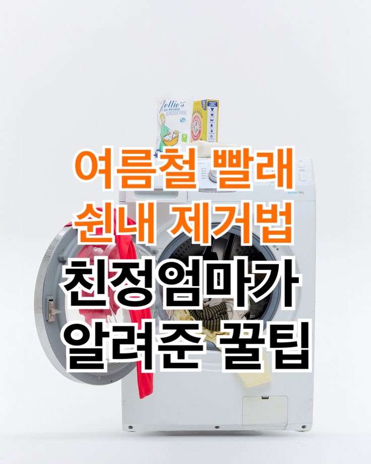  여름철 빨래 쉰내 제거법 친정 엄마가 알려준 꿀팁 !