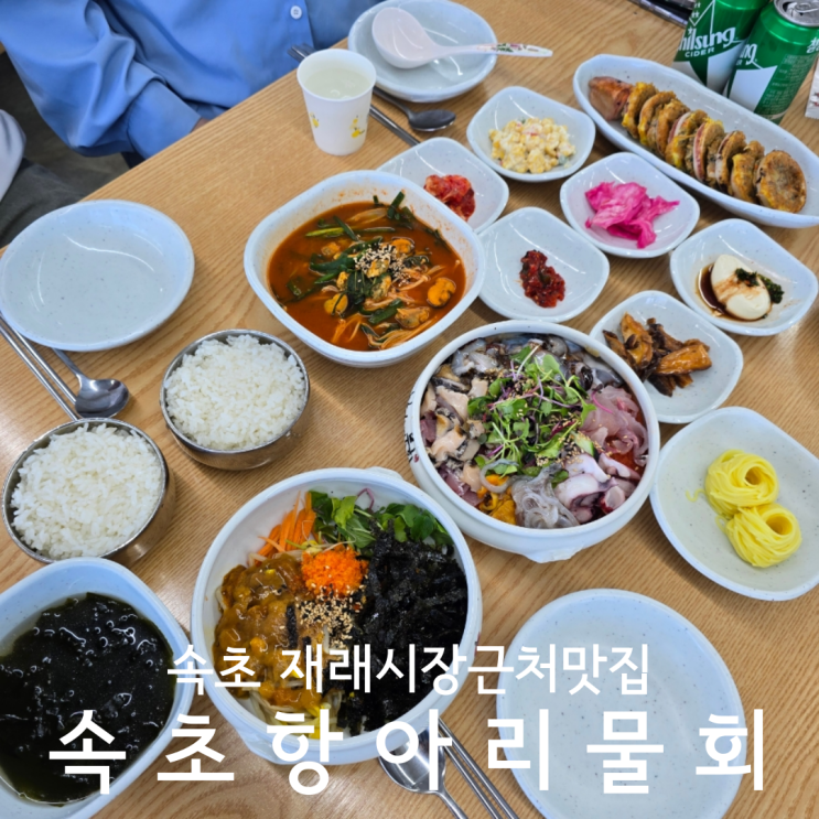  강원도 여행코스 추천 속초재래시장근처 물회 맛집 속초항아리물회 후기
