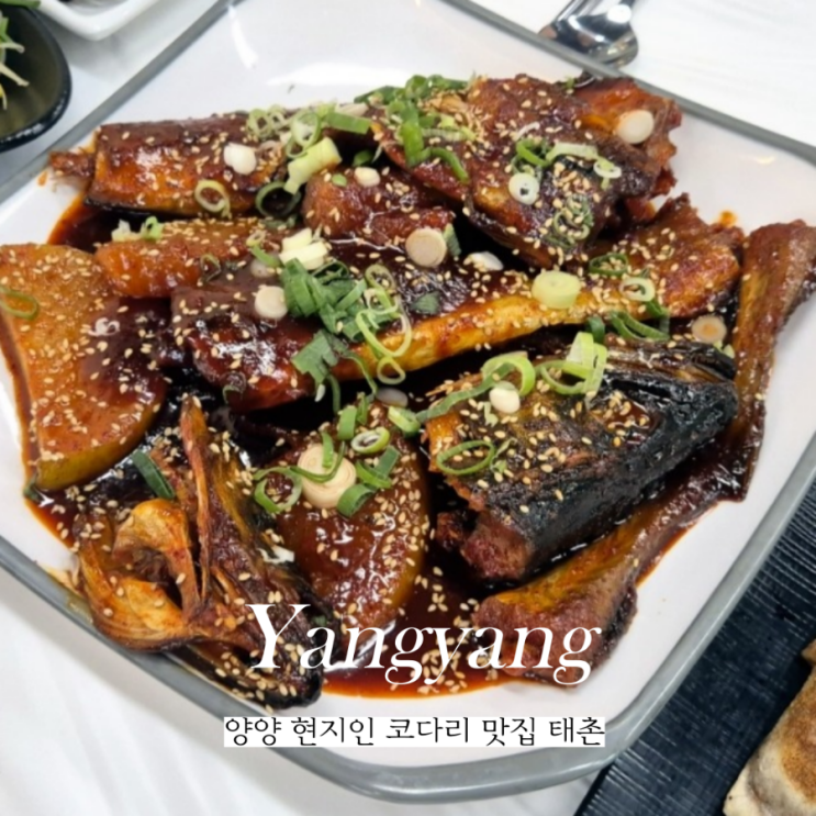  양양 로컬 맛집 태촌 시내 오일장 근처 동태탕 코다리 추천
