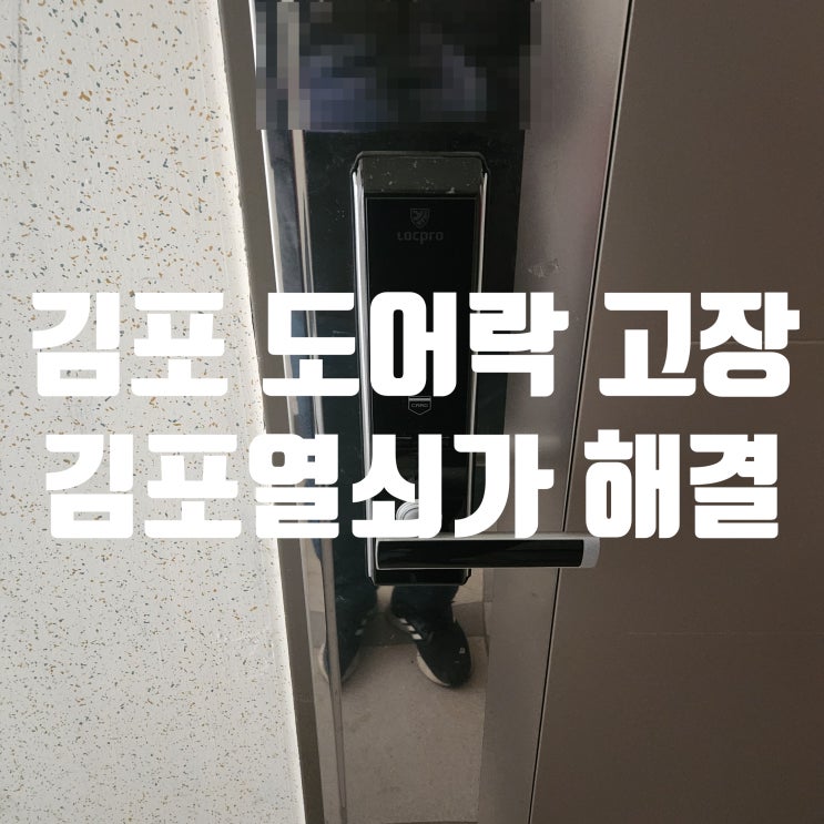  김포열쇠에서 알려주는 해결책 갑자기 도어락이 먹통일 때? (장기동 설치 사례)
