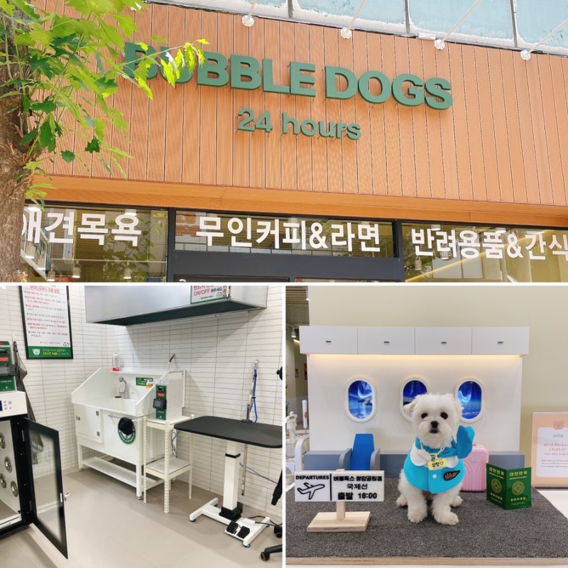 버블독스 광주쌍암공원점