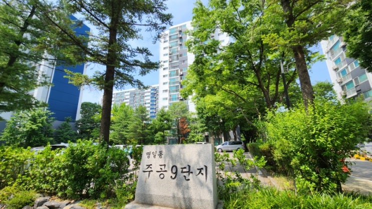  강동구 명일동 고덕주공9단지 아파트 임장: 2025년, 재건축을 넘어선 새로운 도약의 기대주
