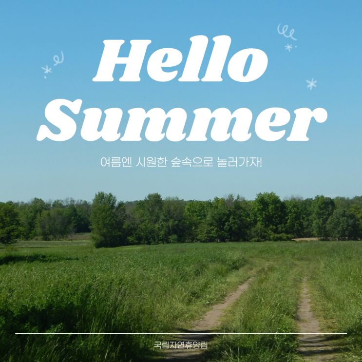  국립자연휴양림 예약 성수기 추첨 신청 기간 발표 방법