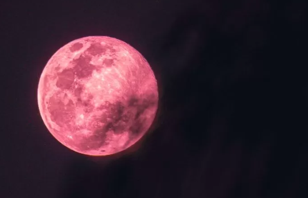  오늘 밤, 딸기달이 뜹니다 스트로베리문의 모든 것! + 후기