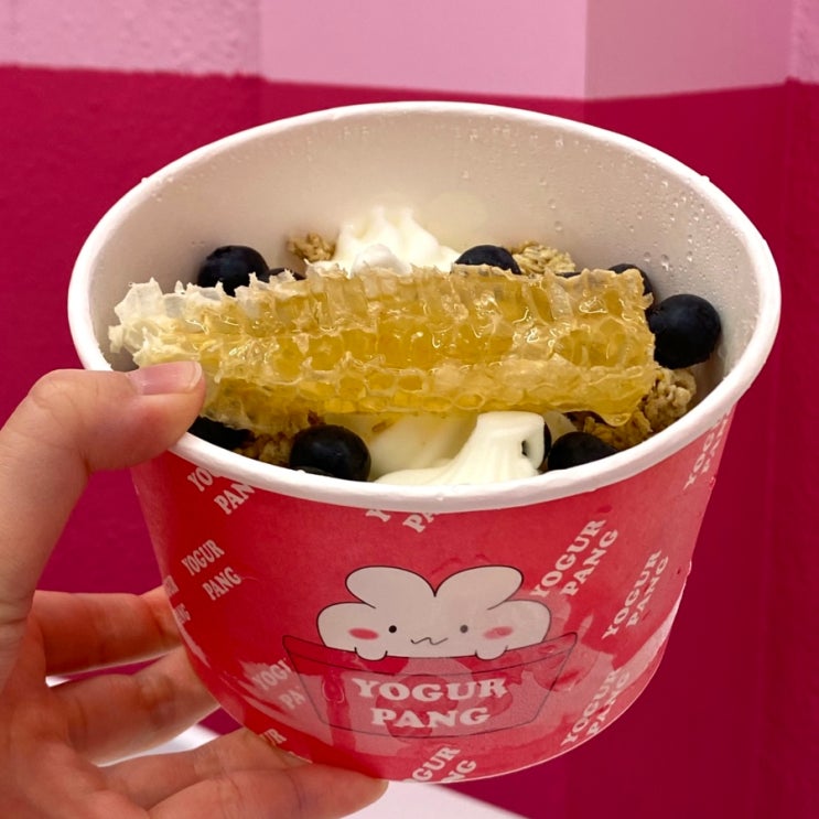  연남동 카페거리 신상카페 요거트아이스크림 전문점, 요거팡 연남꽃길점