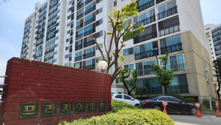  프라자 아파트 임장, 2025년 강동구 둔촌동 재건축 기대주: 천호대로변 명품 입지와 미래 가치 심층 분석
