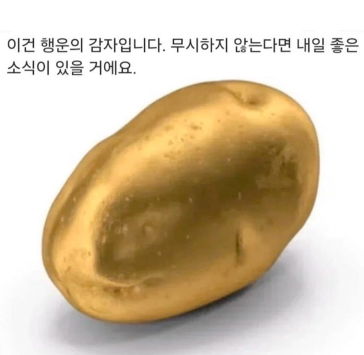  행운의 감자