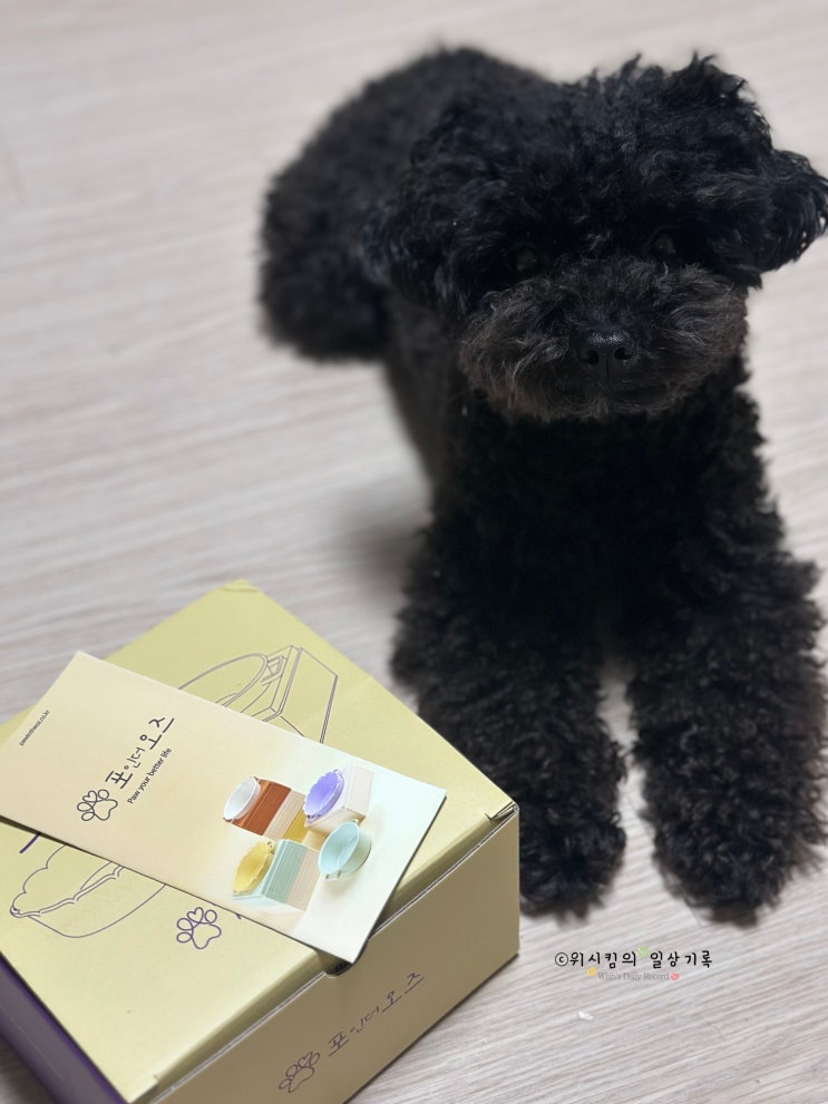  아기 강아지밥그릇 높이 조절 가능한 포오즈 좋아요