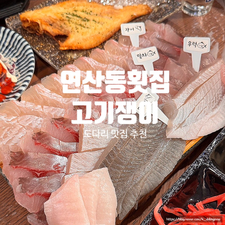  연산동 횟집 '연산동고기쟁이' 가성비 모듬회 도다리 맛집 추천