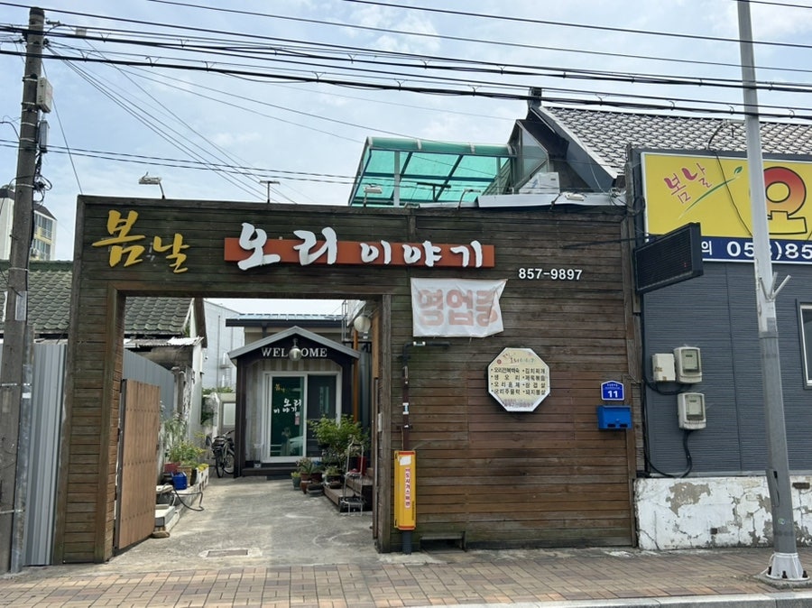 봄날오리이야기 사진 2
