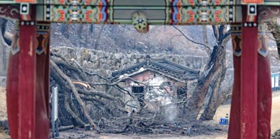Geumhaksan photo 1