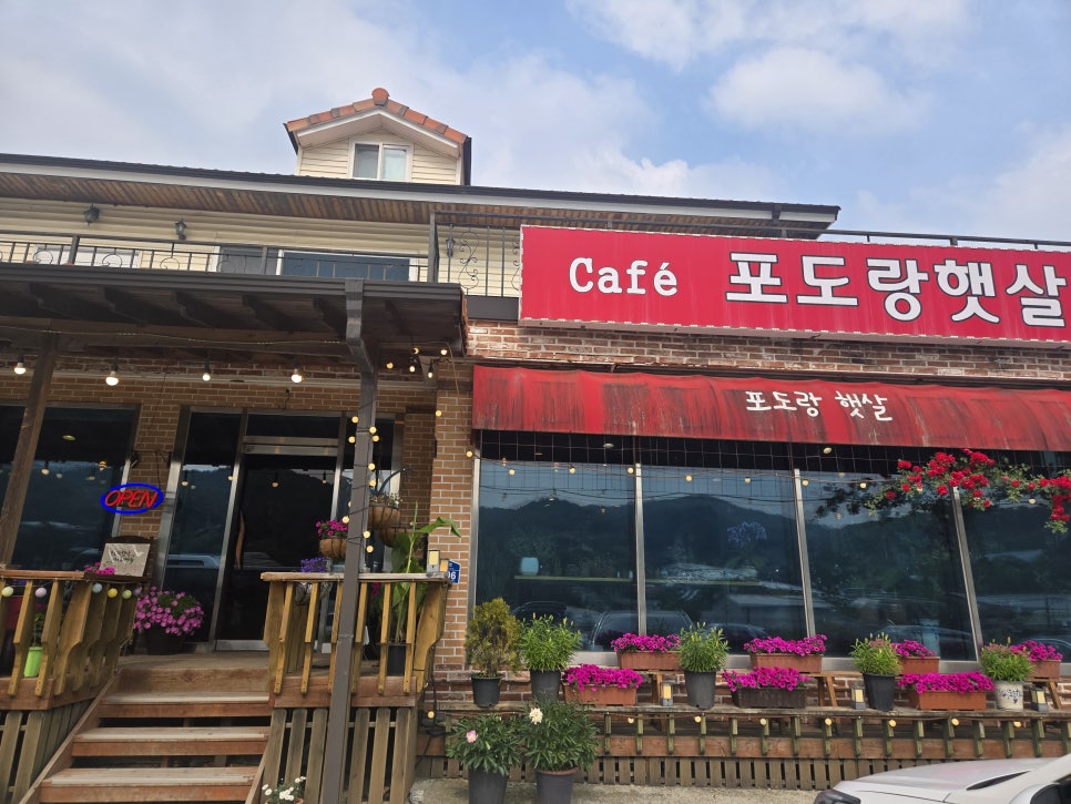 포도랑햇살 사진 2