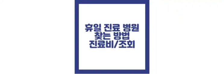  휴일 병원 찾기, 비용, 앱 조회 방법