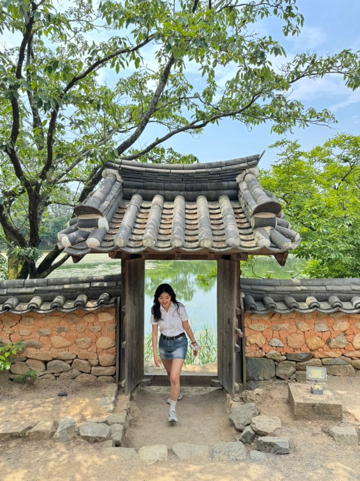  국내여행지 추천 [밀양], 밀양 가볼만한곳 위양지,오연정, 1919봄, 밀양로그펜션 "밀양여행 루트 짜드립니다 밥집부터 숙박까지"