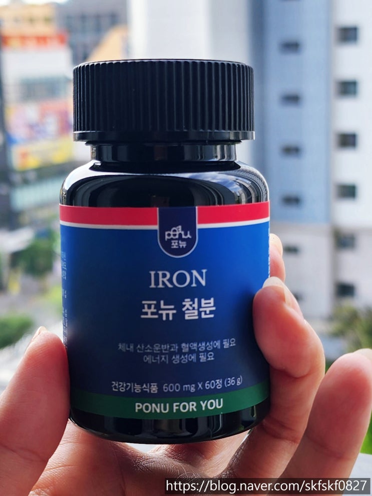  [임산부영양제] 흡수 잘되는 좋은 성분의 산모영양제, 포뉴 철분 카제로템