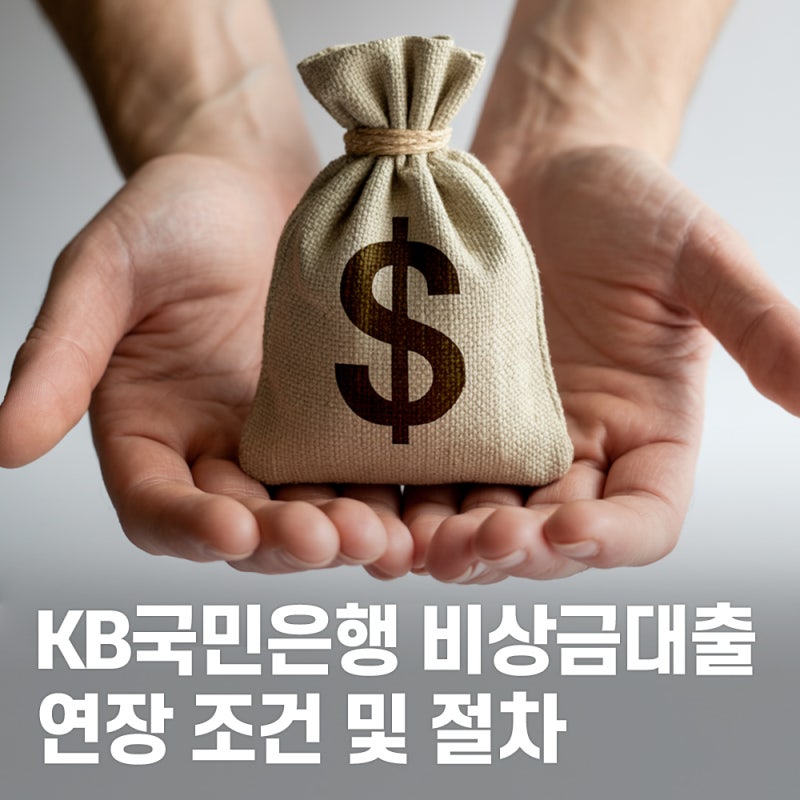 KB국민은행 비상금대출 연장 조건 및 절차 총정리