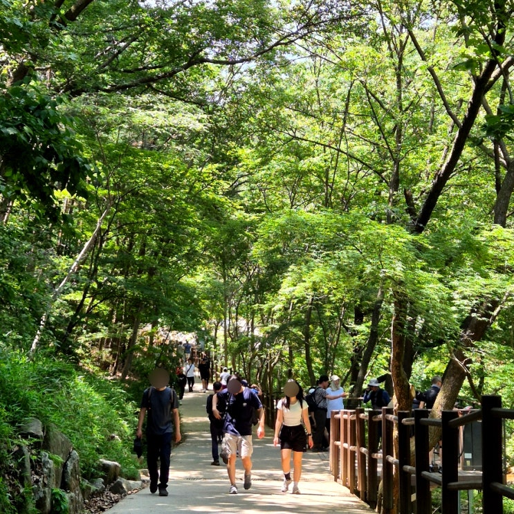  청계산 닭도리탕 막걸리 한잔, 주말 힐링타임