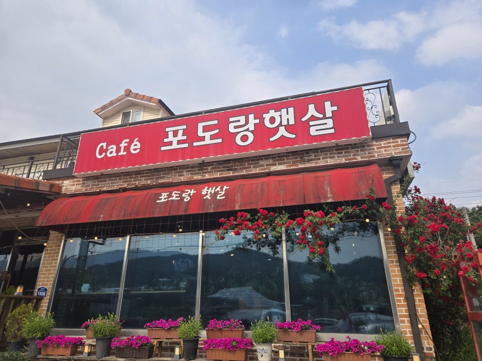 포도랑햇살 사진 3