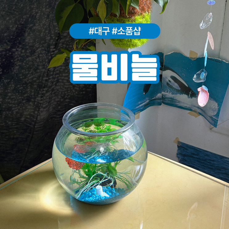 대구 동성로 가볼만한곳 빈티지 소품샵 물비늘