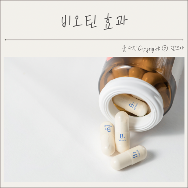  비오틴 효과 5가지 부작용 하루권장량
