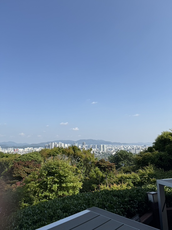  [세무기장] 의약품 판촉영업자(CSO)