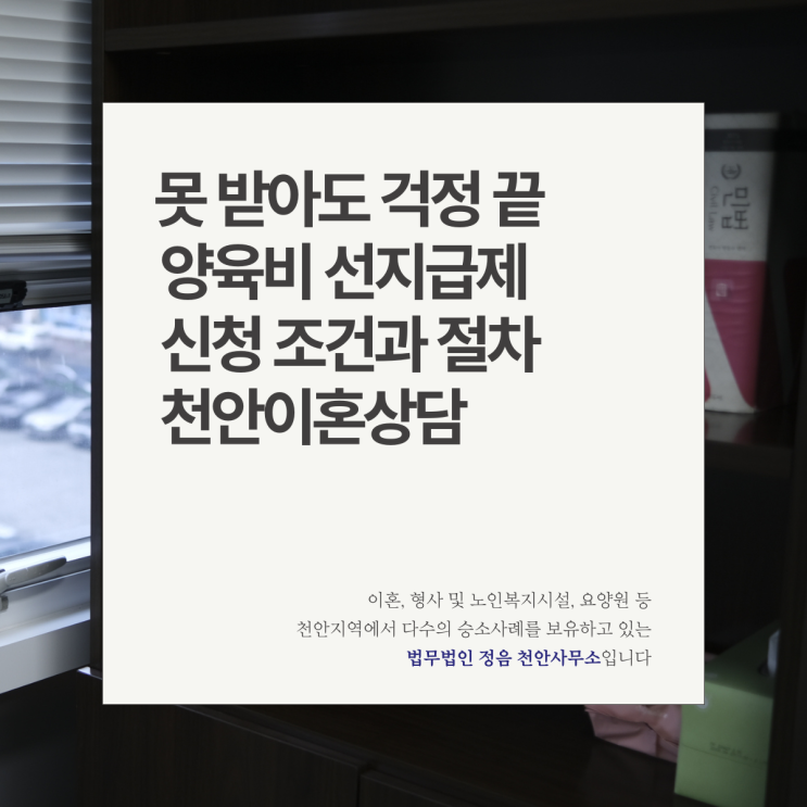  못 받아도 걱정 끝 양육비 선지급제 신청 조건과 절차 천안이혼상담