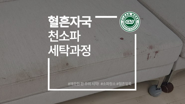  핏자국 혈흔 얼룩 천 소파 세탁 과정