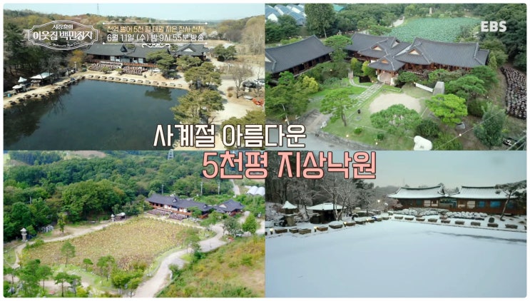  임순형 식당 너른마당 위치는? 이웃집 백만장자에 등장한 장사 천재