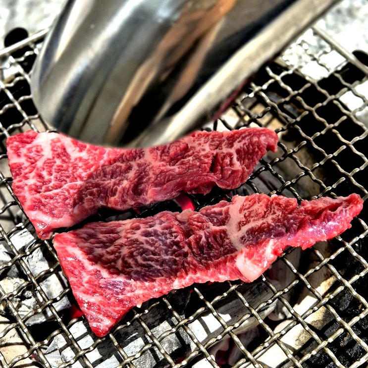  역삼 회식 살치살 안심 소고기 궁합이 끝내주네 황금정육식당