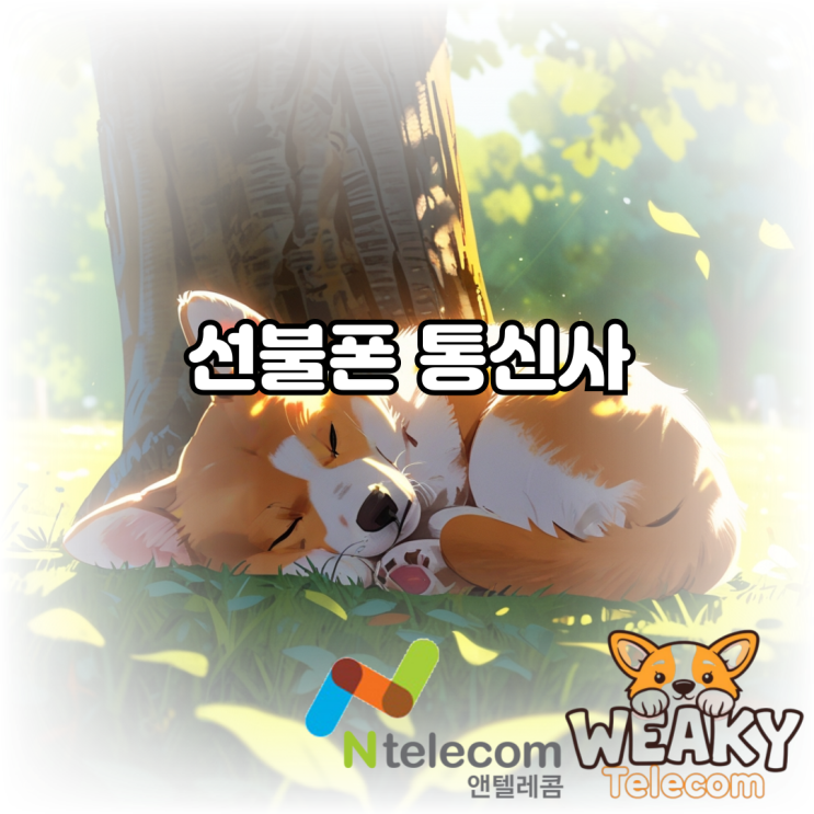  선불폰 통신사 선택이 고민된다면? 앤텔레콤에서 진행해 보세요!