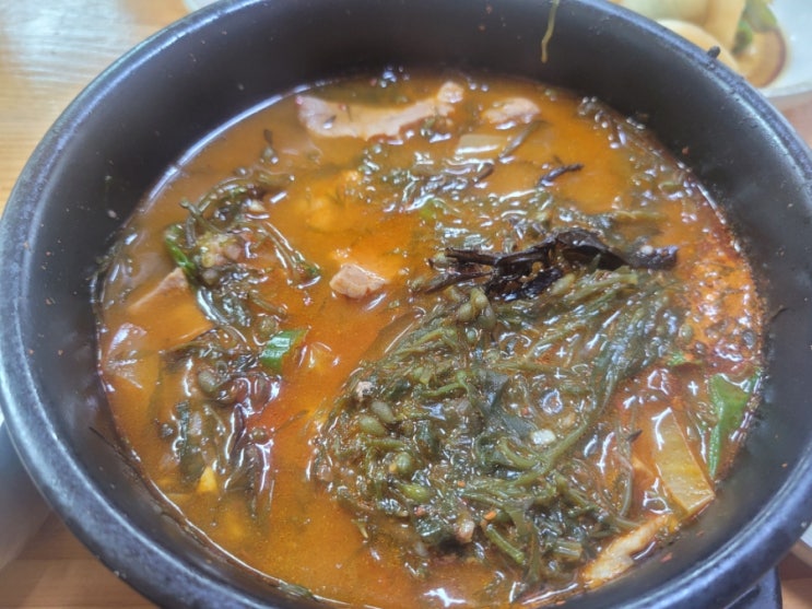  제주 애월 삼영식당 몸국