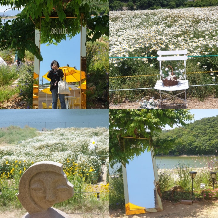  경주 한옥 카페 바실라 샤스타데이지 경주 데이트 코스 추천