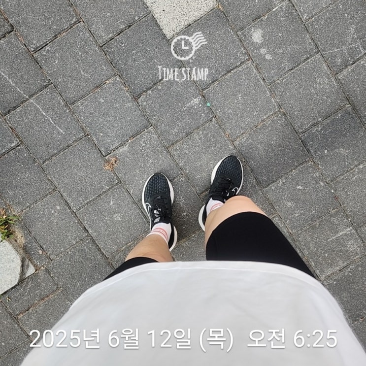  6월 러닝 day 12 - 5km 런데이, 꾸준히 진행중