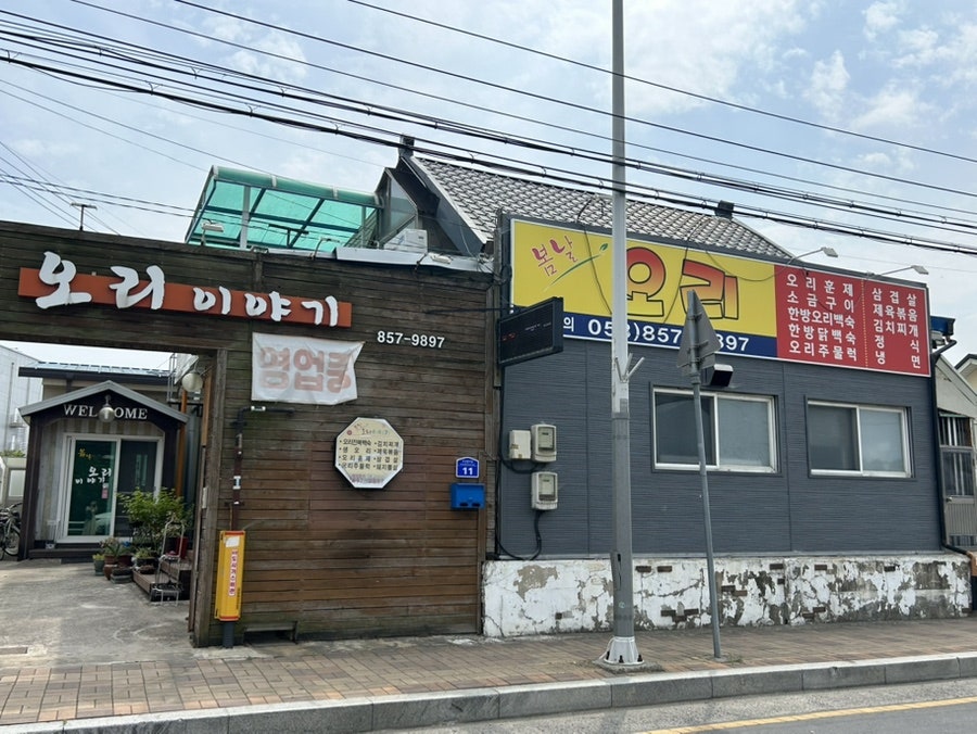 봄날오리이야기 사진 3