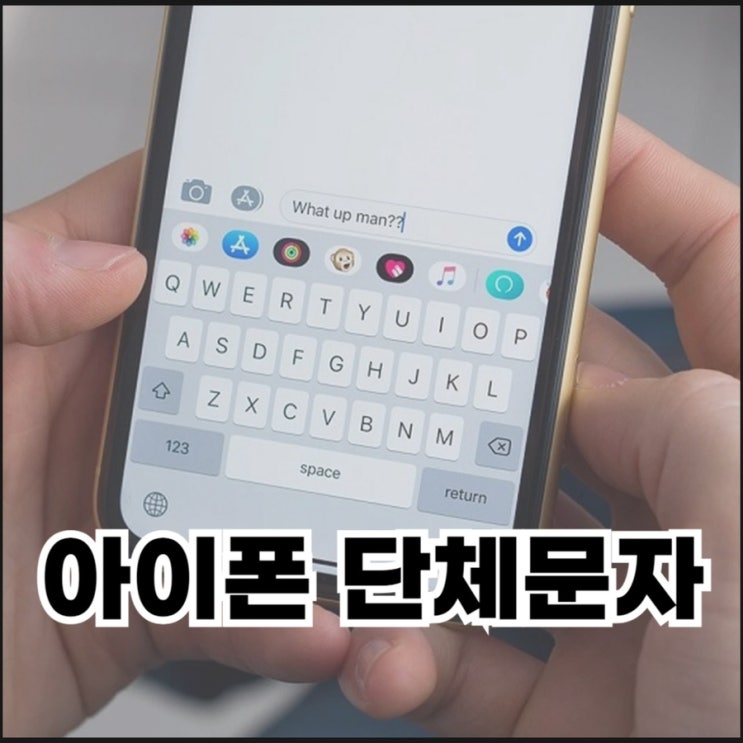  아이폰 단체 문자 보내기(기본 앱, 그룹 발송)