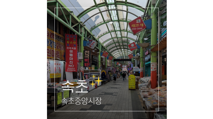  속초중앙시장 주차장 정보부터 만석닭강정 대게 술빵 먹거리 BEST 6