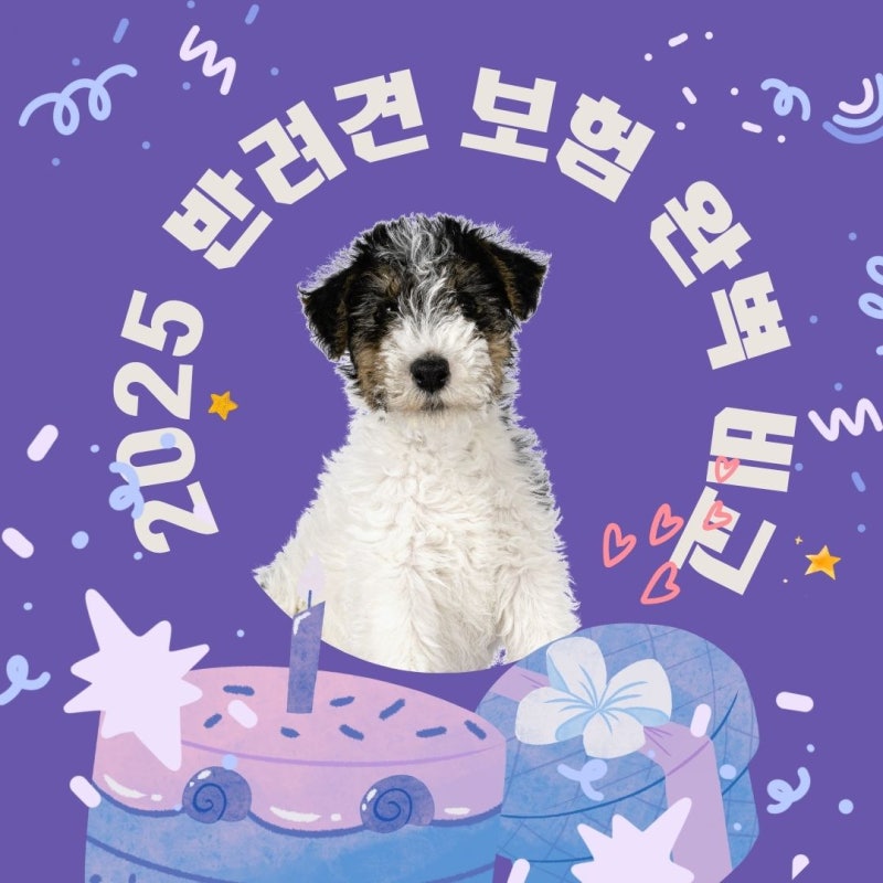 2025년 최신 반려견 보험 완벽 비교/ 보장 범위, 보험료, 가입 꿀팁 총정리
