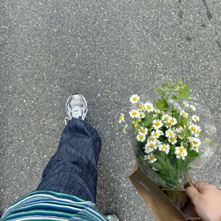 다이소 송파구청점 갔다가 앞에 있는 꽃트럭에서 피버뷰 두다발 만원에 구매해서 완전 힐링한 리뷰.
