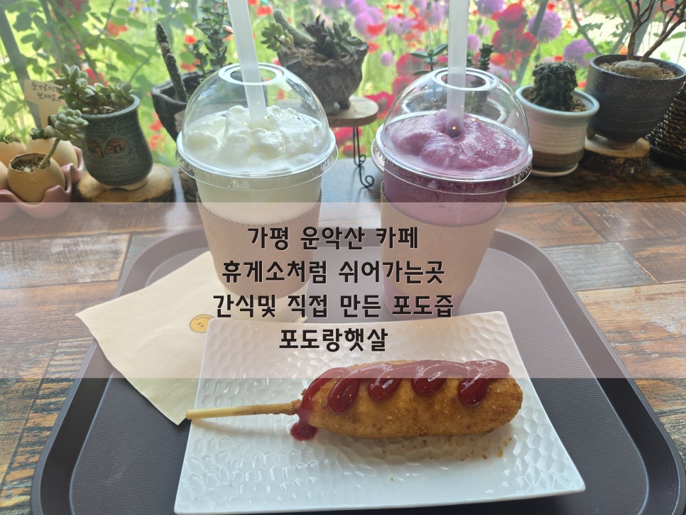 포도랑햇살 사진 1