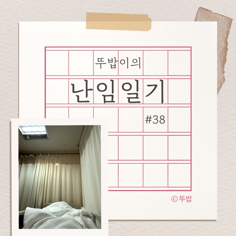 난임일기#38 자궁외임신 수술 후 입원(통증/회복기간/봄빛병원)