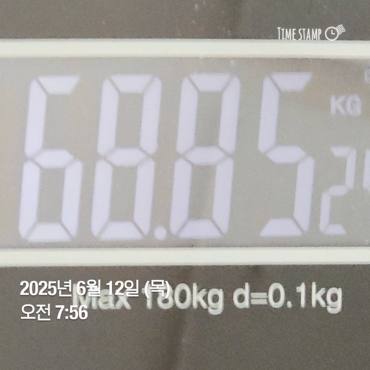  위고비 53일째 (위고비 0.1mg의 차이)